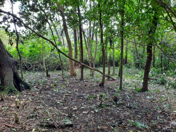 Imagem Terreno à Venda, 2.437 m² em Chácara Eliana - Cotia