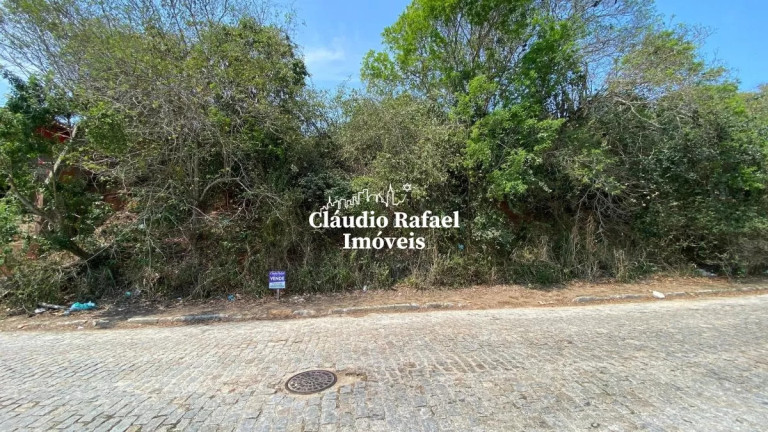 Imagem Terreno à Venda, 1.000 m² em Brava - Armação - Armação Dos Búzios Imagem Terreno à Venda, 1.000 m² em Brava - Armação - Armação Dos Búzios