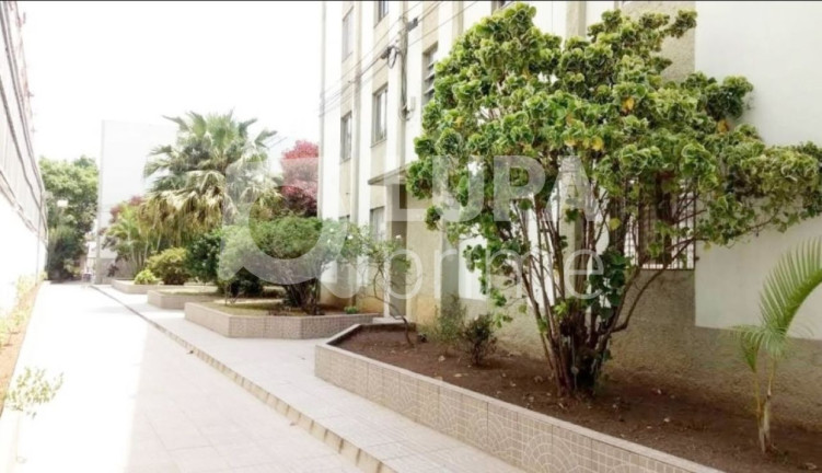 Imagem Apartamento com 2 Quartos à Venda, 62 m² em Vila Guilherme - São Paulo Imagem Apartamento com 2 Quartos à Venda, 62 m² em Vila Guilherme - São Paulo