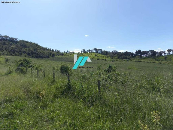 Imagem Fazenda à Venda, 194 m² em Zona Rural - Carmópolis De Minas Imagem Fazenda à Venda, 194 m² em Zona Rural - Carmópolis De Minas