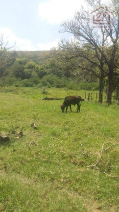 Imagem Fazenda à Venda, 72.500 m² em Cajuru - São José Dos Campos Imagem Fazenda à Venda, 72.500 m² em Cajuru - São José Dos Campos