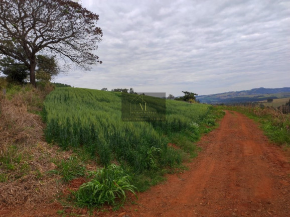 Imagem Terreno à Venda, 2.600 m² em Tomazina - Tomazina