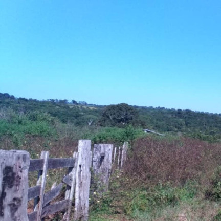 Imagem Fazenda à Venda, 581 m² em Getulio Vargas - Guiratinga Imagem Fazenda à Venda, 581 m² em Getulio Vargas - Guiratinga