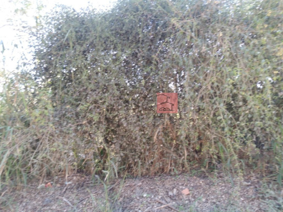 Imagem Terreno à Venda, 3.065 m² em Rincão Mimoso (itaipuaçu) - Maricá Imagem Terreno à Venda, 3.065 m² em Rincão Mimoso (itaipuaçu) - Maricá