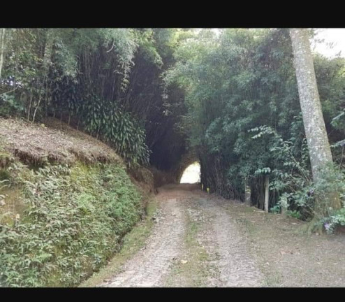 Imagem Chácara com 3 Quartos à Venda, 51 m² em Lumiar - Boa Esperanca - Nova Friburgo Imagem Chácara com 3 Quartos à Venda, 51 m² em Lumiar - Boa Esperanca - Nova Friburgo
