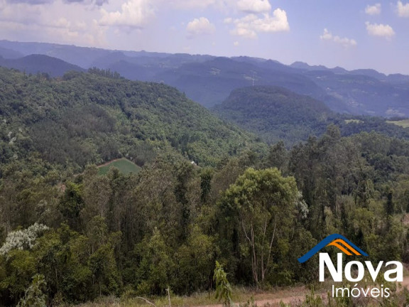 Imagem Imóvel à Venda, em Linha Olinda - Nova Petrópolis Imagem Imóvel à Venda, em Linha Olinda - Nova Petrópolis