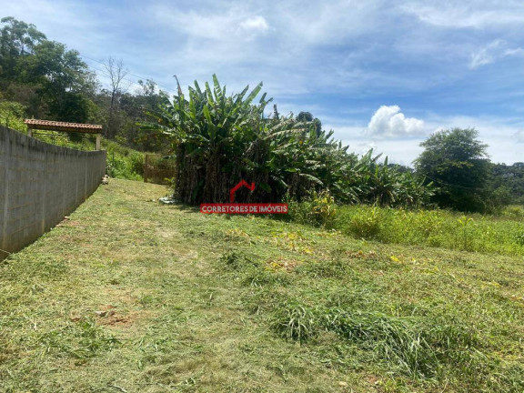 Imagem Chácara com 3 Quartos à Venda, 10.000 m² em Viçosa Imagem Chácara com 3 Quartos à Venda, 10.000 m² em Viçosa