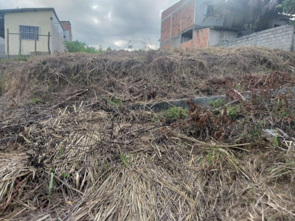 Imagem Imóvel à Venda, 300 m² em Santa Cruz - Aracruz