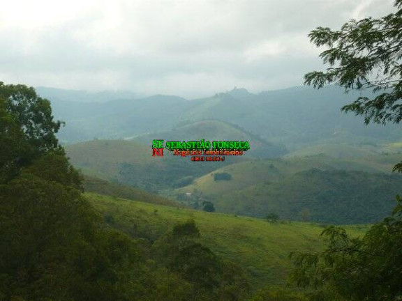 Chácara à Venda, 30.000 m² em Ponte Nova - Monteiro Lobato