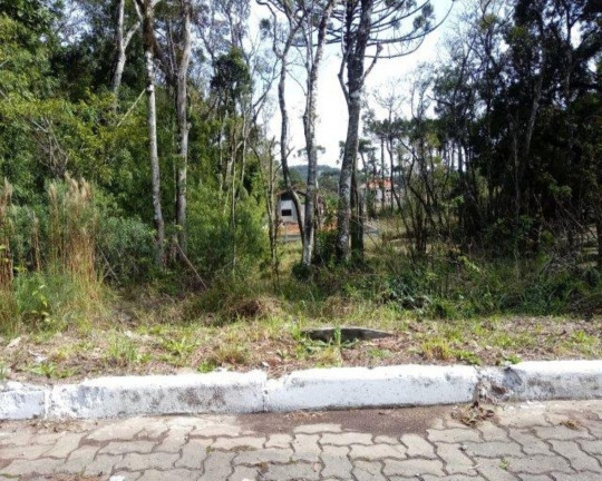 Imagem Imóvel à Venda, 821 m² em Vila Germânia - Nova Petrópolis Imagem Imóvel à Venda, 821 m² em Vila Germânia - Nova Petrópolis