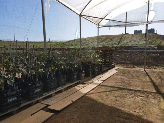 Imagem Fazenda à Venda, 4.463.400 m² em Zona Rural - Maria Da Fé Imagem Fazenda à Venda, 4.463.400 m² em Zona Rural - Maria Da Fé