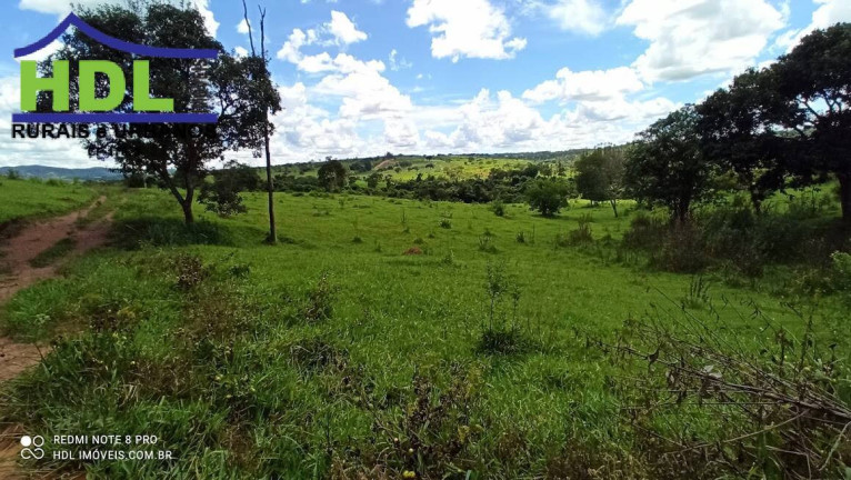 Imagem Fazenda à Venda, 21 m² em Zona Rural - Hidrolândia Imagem Fazenda à Venda, 21 m² em Zona Rural - Hidrolândia