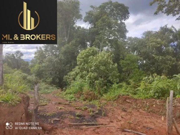Imagem Imóvel à Venda, 20.000 m² em Sao Silvestre - Campo Largo Imagem Imóvel à Venda, 20.000 m² em Sao Silvestre - Campo Largo