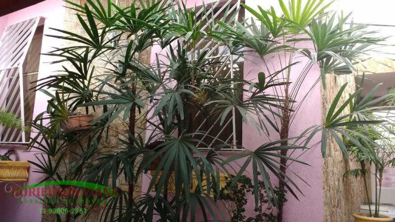 Imagem Sobrado com 3 Quartos à Venda, 160 m² em Vila Maranduba - Guarulhos