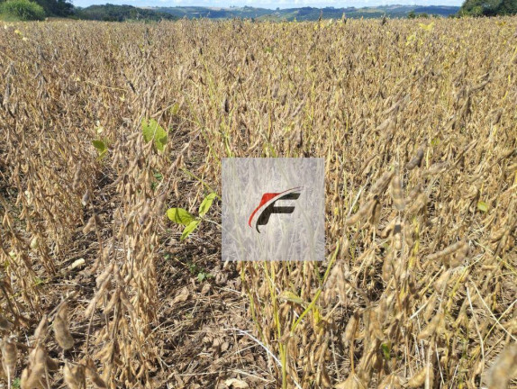 Imagem Fazenda à Venda, 3.775.200 m² em Centro - Pitanga Imagem Fazenda à Venda, 3.775.200 m² em Centro - Pitanga
