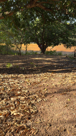 Imagem Terreno à Venda, 50.000 m² em Morada Dos Nobres - Cuiabá Imagem Terreno à Venda, 50.000 m² em Morada Dos Nobres - Cuiabá