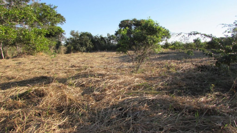 Imagem Imóvel à Venda, 2.000 m² em Estrada Da Integração / São Jacinto - Cabo Frio Imagem Imóvel à Venda, 2.000 m² em Estrada Da Integração / São Jacinto - Cabo Frio