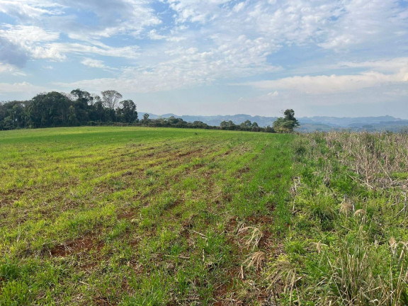 Imagem Terreno à Venda, 30.000 m² em Rural - Concórdia Imagem Terreno à Venda, 30.000 m² em Rural - Concórdia