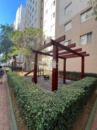Imagem Apartamento com 2 Quartos à Venda, 43 m² em Pirajussara - São Paulo Imagem Apartamento com 2 Quartos à Venda, 43 m² em Pirajussara - São Paulo