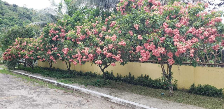 Imagem Imóvel à Venda, 1.200 m² em Campo Grande - Rio De Janeiro Imagem Imóvel à Venda, 1.200 m² em Campo Grande - Rio De Janeiro