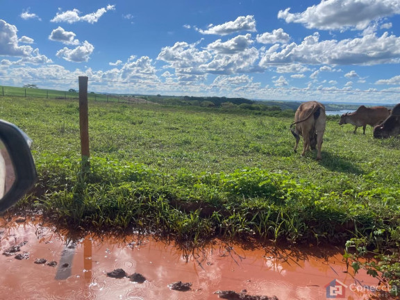 Imagem Imóvel à Venda, 1.355.200 m² em Centro - Uberlândia