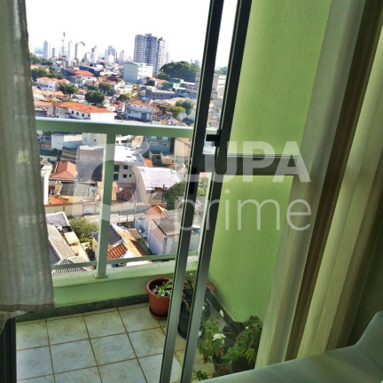 Imagem Apartamento com 3 Quartos à Venda, 60 m² em Vila Maria Alta - São Paulo Imagem Apartamento com 3 Quartos à Venda, 60 m² em Vila Maria Alta - São Paulo