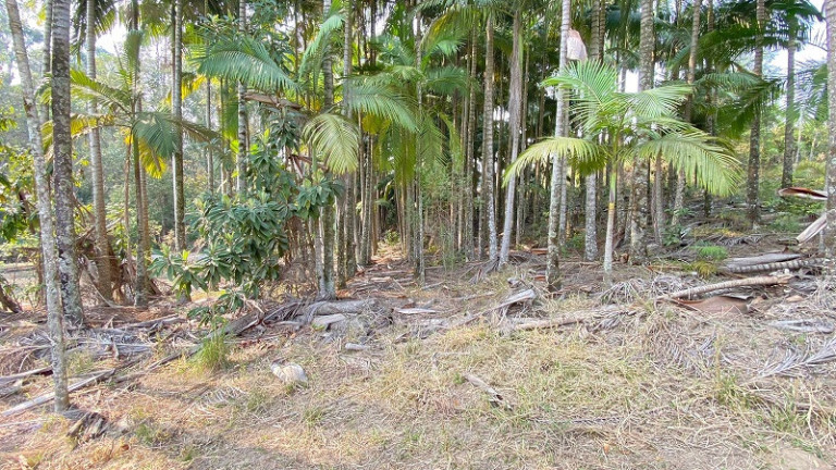 Imagem Imóvel à Venda, em Paraibuna Imagem Imóvel à Venda, em Paraibuna