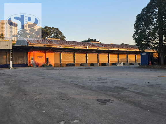 Imagem Imóvel Comercial para Alugar, 9.071 m² em Jardim Matarazzo - São Paulo Imagem Imóvel Comercial para Alugar, 9.071 m² em Jardim Matarazzo - São Paulo