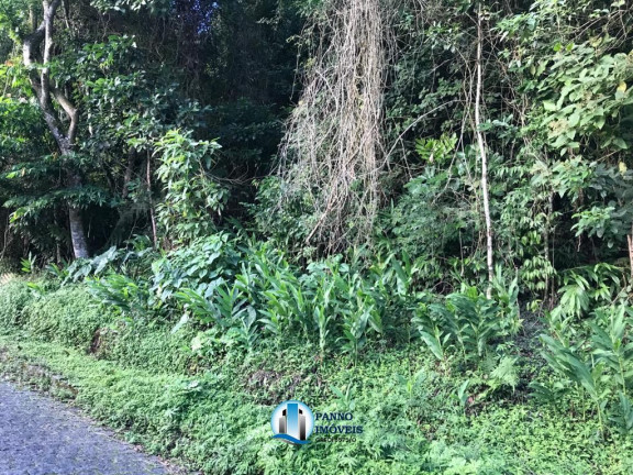 Imagem Terreno à Venda, 450 m² em Quitandinha - Petrópolis