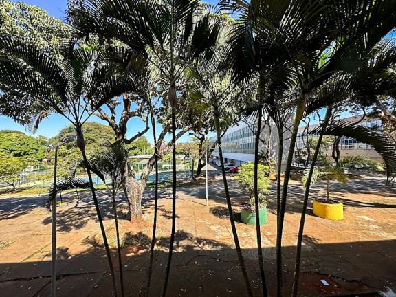 Imagem Apartamento com 3 Quartos à Venda, 81 m² em Asa Sul - Brasília Imagem Apartamento com 3 Quartos à Venda, 81 m² em Asa Sul - Brasília