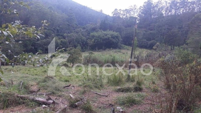 Imagem Chácara com 4 Quartos à Venda, 19 m² em Centro - Paraibuna Imagem Chácara com 4 Quartos à Venda, 19 m² em Centro - Paraibuna