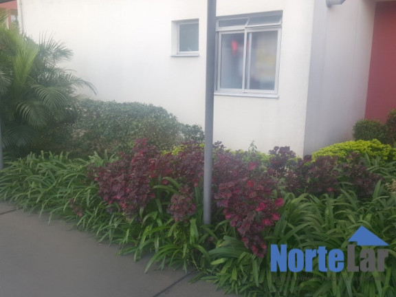 Imagem Apartamento com 2 Quartos à Venda, 52 m² em Nossa Senhora Do ó - São Paulo Imagem Apartamento com 2 Quartos à Venda, 52 m² em Nossa Senhora Do ó - São Paulo