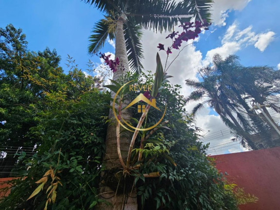 Imagem Sobrado com 4 Quartos à Venda, 304 m² em Parque Taquaral - Campinas Imagem Sobrado com 4 Quartos à Venda, 304 m² em Parque Taquaral - Campinas