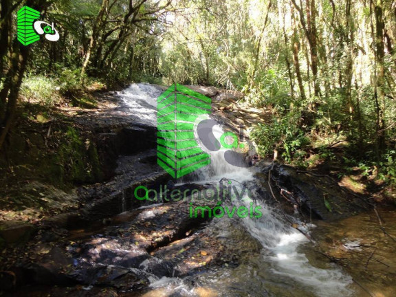 Imagem Fazenda à Venda, 31 m² em Pinhalzinho - Sto Antônio Do Pinhal - Santo Antônio Do Pinhal