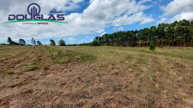 Imagem Chácara à Venda, 20.000 m² em águas Claras - Viamão