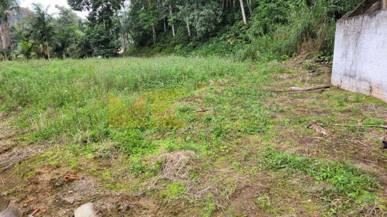 Imagem Imóvel à Venda, 1.312 m² em Badenfurt - Blumenau