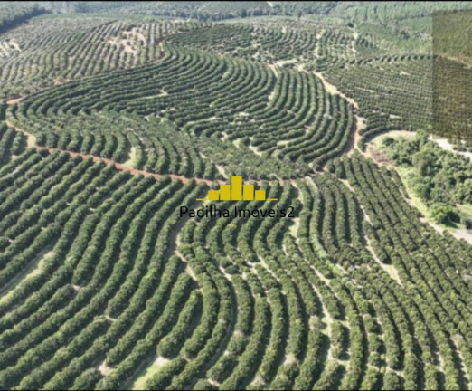 Imagem Fazenda à Venda, 170 m² em Rural - Angatuba Imagem Fazenda à Venda, 170 m² em Rural - Angatuba
