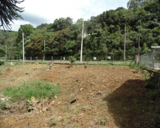 Imagem Terreno à Venda, 875 m² em Varzea Grande - Gramado Imagem Terreno à Venda, 875 m² em Varzea Grande - Gramado