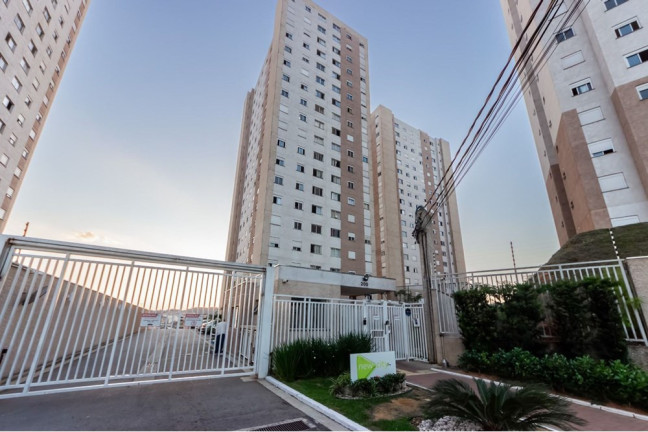 Imagem Apartamento com 2 Quartos para Alugar, 40 m² em Vila Pirituba - São Paulo Imagem Apartamento com 2 Quartos para Alugar, 40 m² em Vila Pirituba - São Paulo