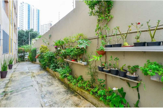 Imagem Apartamento com 1 Quarto à Venda, 59 m² em Campo Belo - São Paulo Imagem Apartamento com 1 Quarto à Venda, 59 m² em Campo Belo - São Paulo