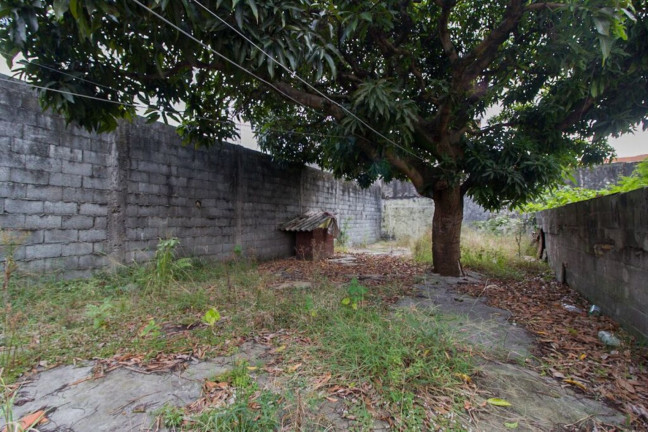 Imagem Imóvel à Venda, em Vila Marieta - São Paulo Imagem Imóvel à Venda, em Vila Marieta - São Paulo