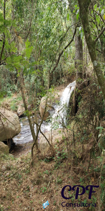 Imagem Imóvel com 6 Quartos à Venda, em Centro - Poços De Caldas Imagem Imóvel com 6 Quartos à Venda, em Centro - Poços De Caldas