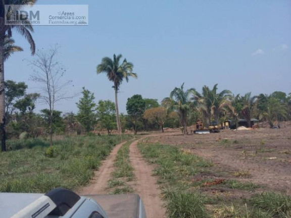 Imagem Chácara à Venda, 300.000.000 m² em Centro - Luciára