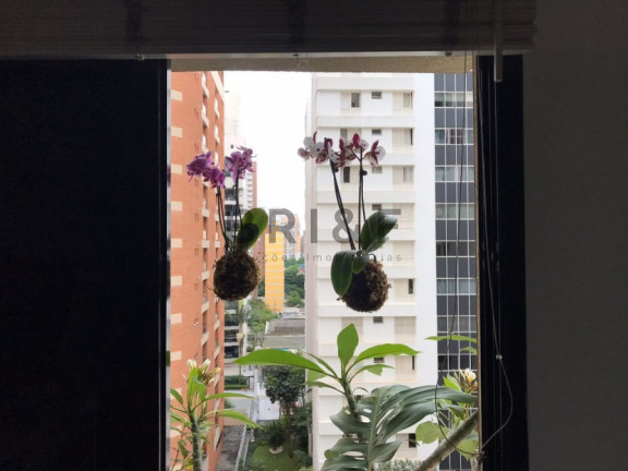 Imagem Apartamento com 1 Quarto à Venda, 44 m² em Moema - São Paulo Imagem Apartamento com 1 Quarto à Venda, 44 m² em Moema - São Paulo