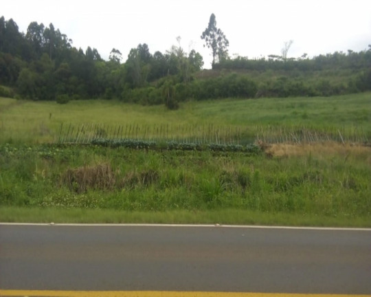 Imagem Imóvel à Venda, 19.451 m² em Linha Araripe - Nova Petrópolis Imagem Imóvel à Venda, 19.451 m² em Linha Araripe - Nova Petrópolis