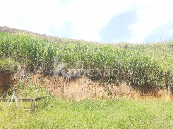 Imagem Chácara com 1 Quarto à Venda, 500 m² em Vila São Germano - Paraibuna Imagem Chácara com 1 Quarto à Venda, 500 m² em Vila São Germano - Paraibuna