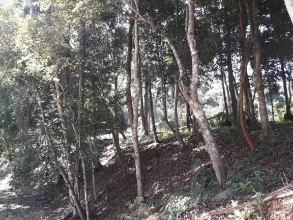 Imagem Terreno à Venda, 1.020 m² em Campininha - Atibaia Imagem Terreno à Venda, 1.020 m² em Campininha - Atibaia