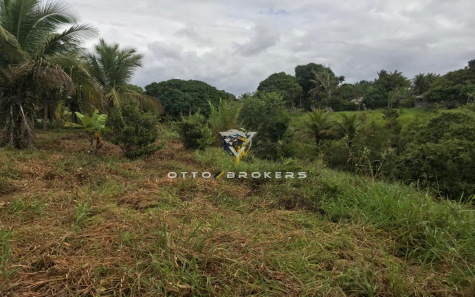Imagem Terreno à Venda, 7.500 m² em Tânia - Santa Cruz Cabrália
