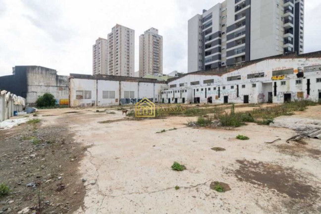 Imagem Terreno para Alugar, 2.392 m² em Silveira - Santo André Imagem Terreno para Alugar, 2.392 m² em Silveira - Santo André