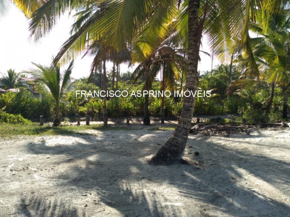 Imóvel à Venda, 8.000 m² em Mamoã - Ilhéus